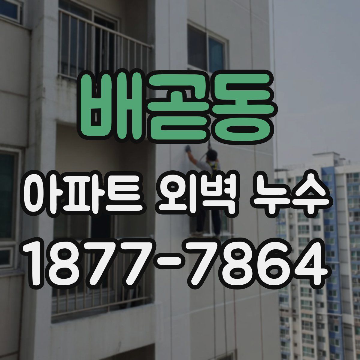 배곧동 아파트 외벽 누수