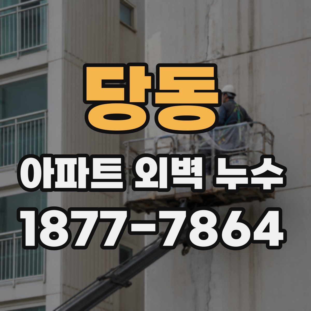 당동 아파트 외벽 누수