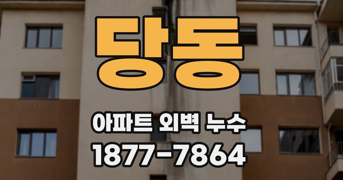 당동 아파트 외벽 누수