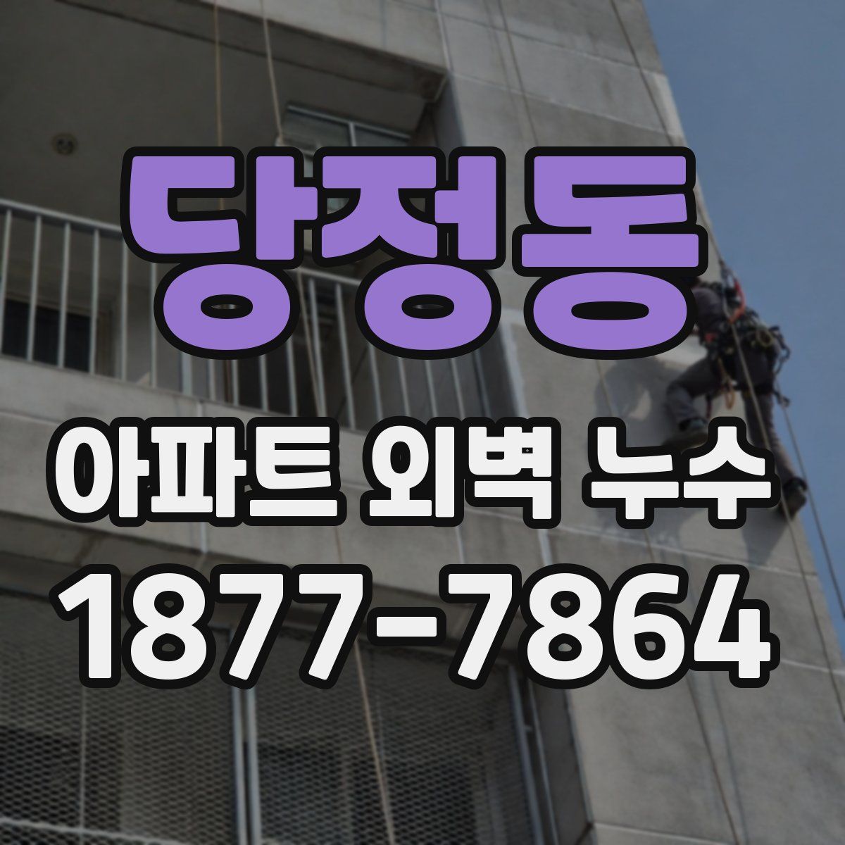 당정동 아파트 외벽 누수