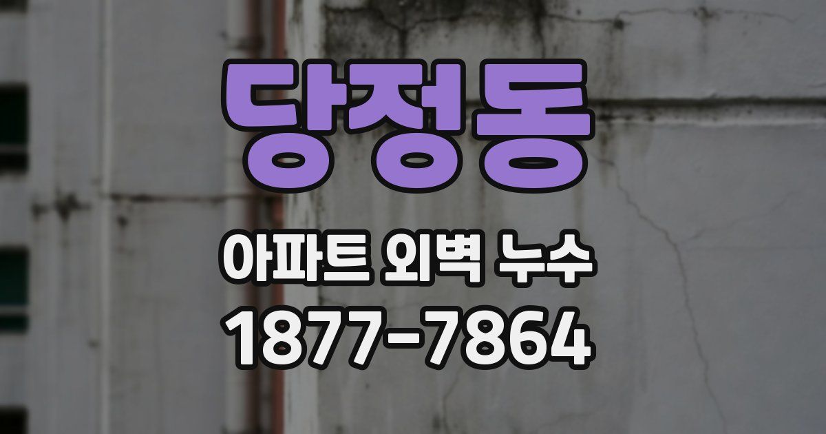 당정동 아파트 외벽 누수