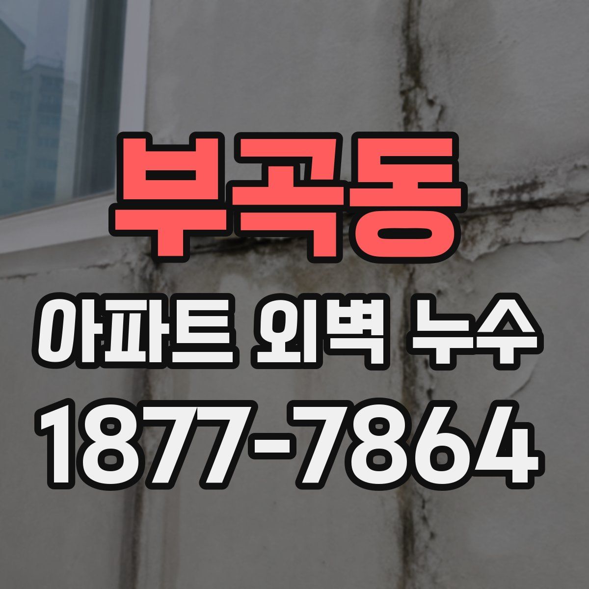 부곡동 아파트 외벽 누수
