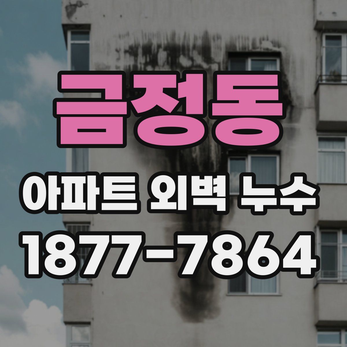 금정동 아파트 외벽 누수