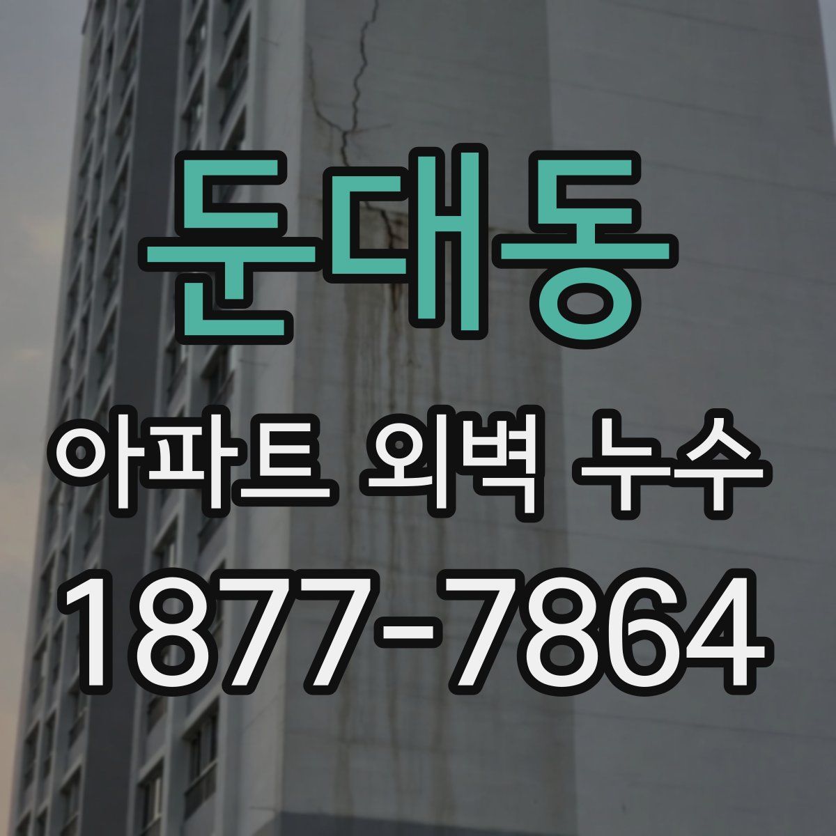 둔대동 아파트 외벽 누수