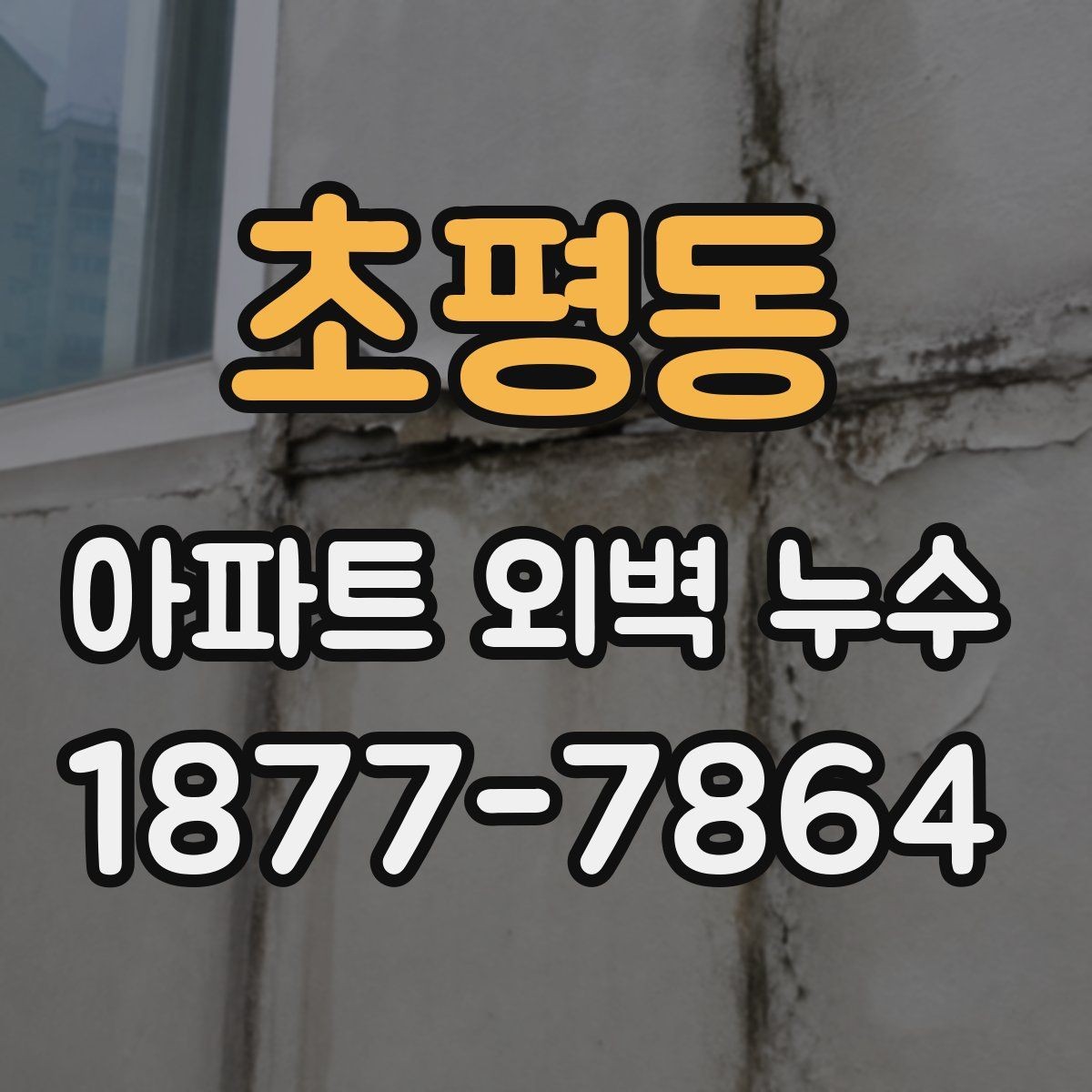 초평동 아파트 외벽 누수 발생 부위별 관리 포인트