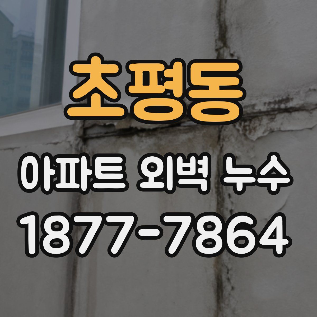 초평동 아파트 외벽 누수