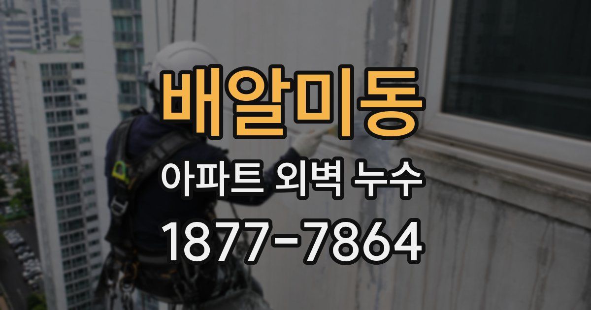 배알미동 아파트 외벽 누수