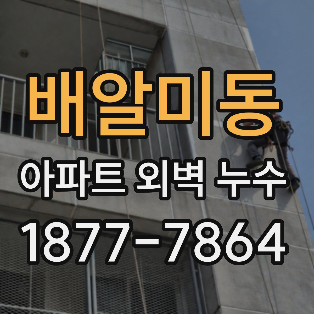 배알미동 아파트 외벽 누수