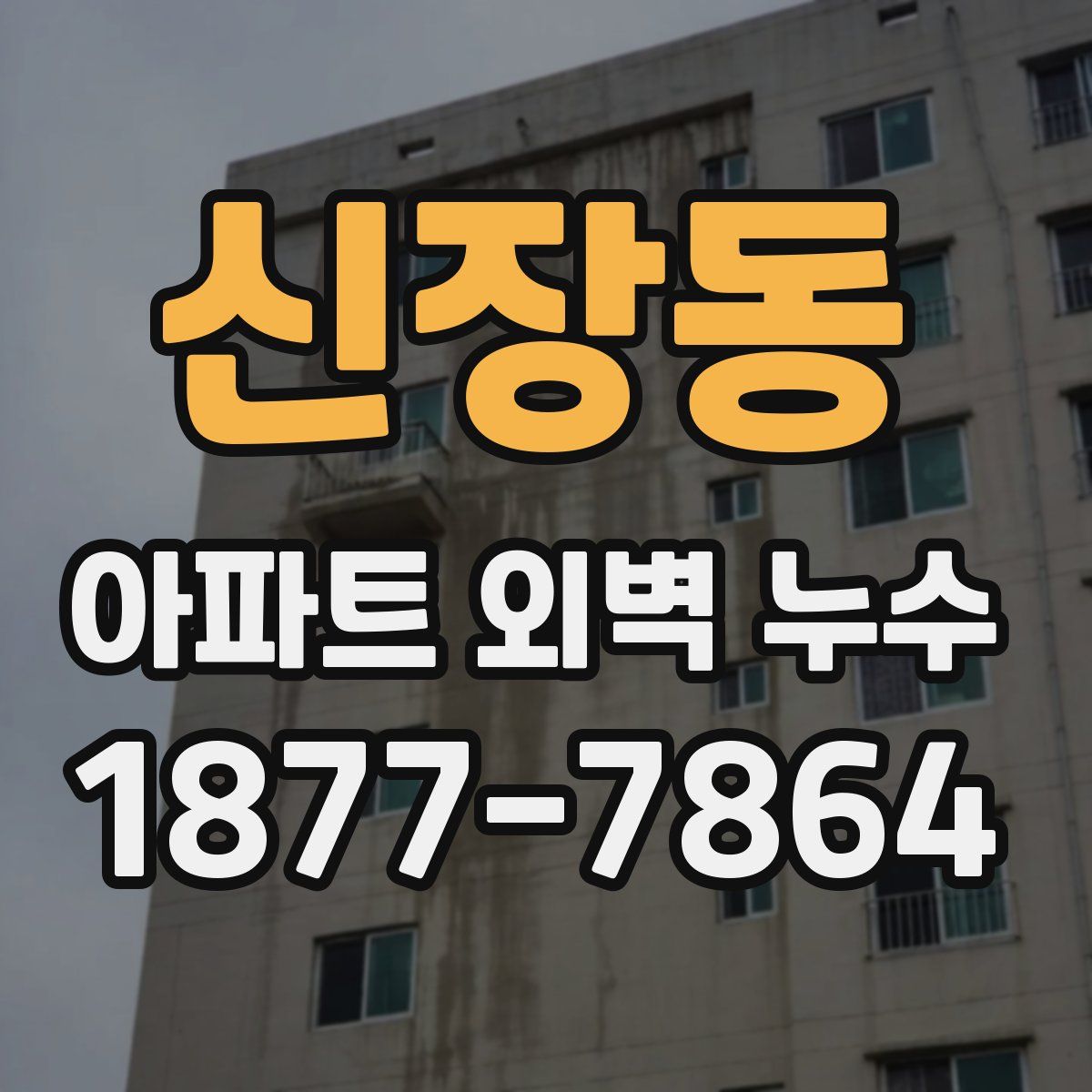 신장동 아파트 외벽 누수