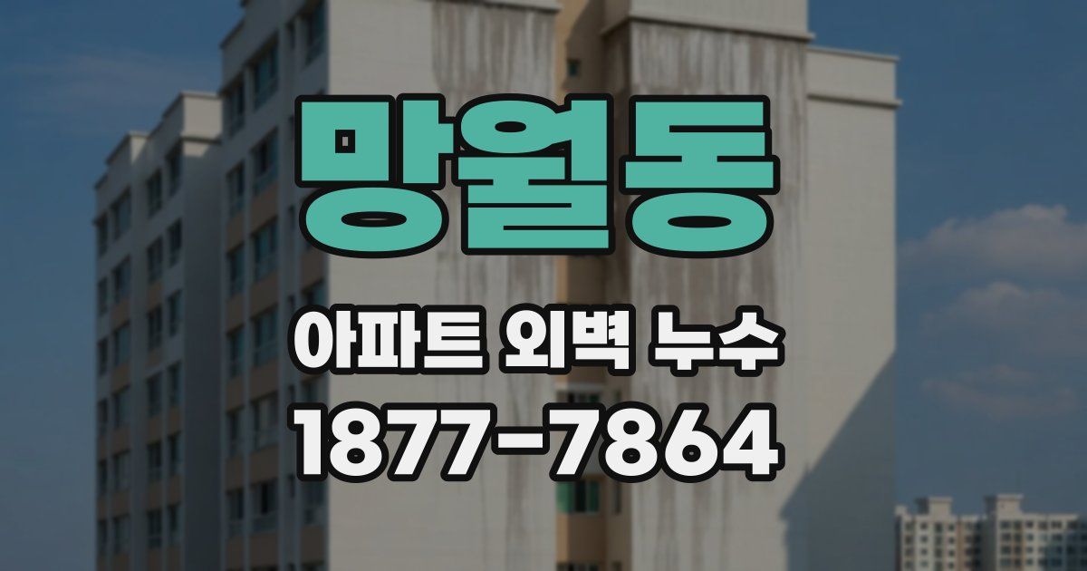 망월동 아파트 외벽 누수