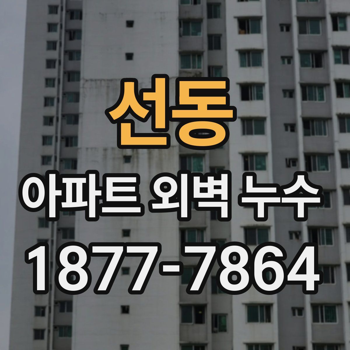 선동 아파트 외벽 누수