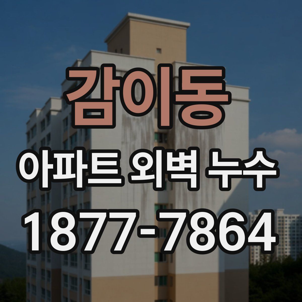 감이동 아파트 외벽 누수