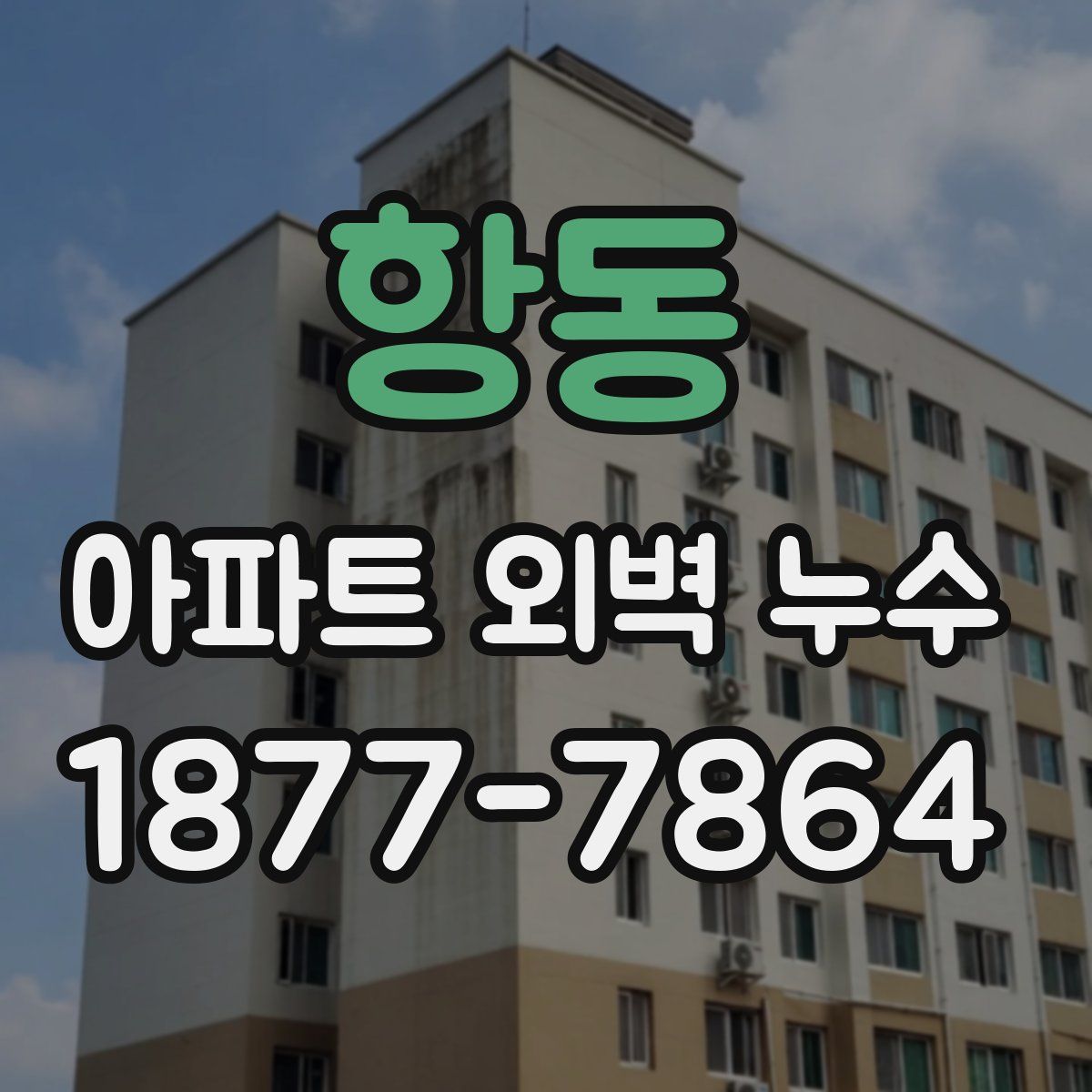 항동 아파트 외벽 누수