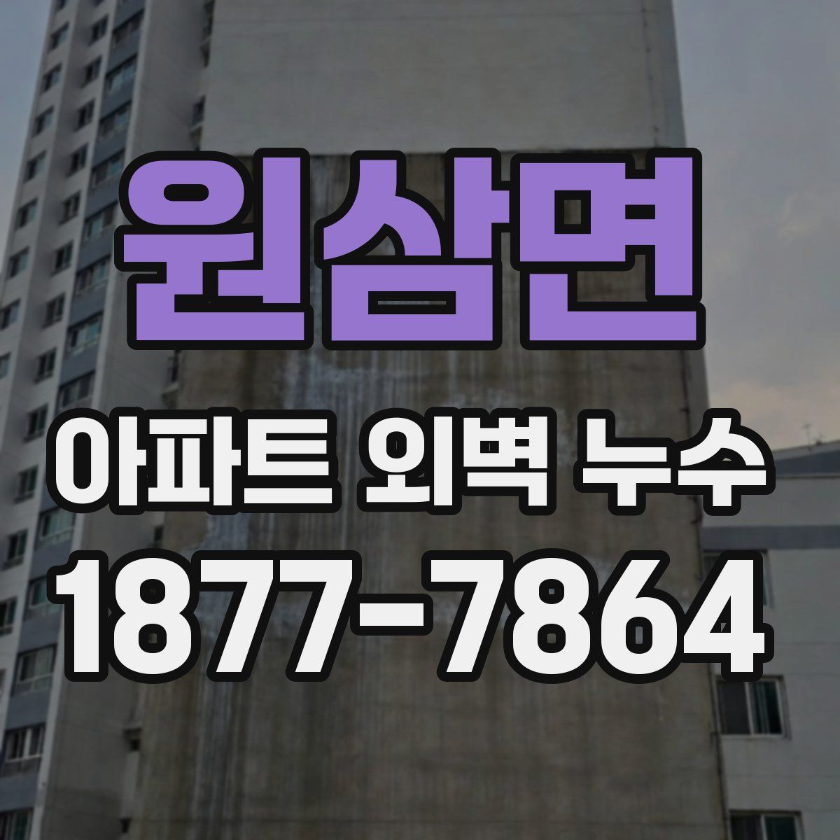 원삼면 아파트 외벽 누수