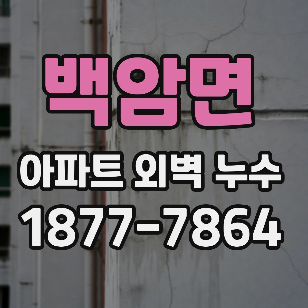 백암면 아파트 외벽 누수