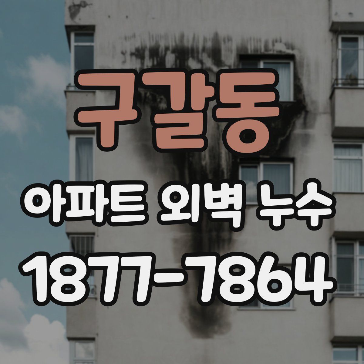 구갈동 아파트 외벽 누수
