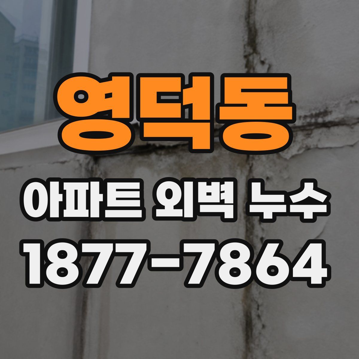 영덕동 아파트 외벽 누수