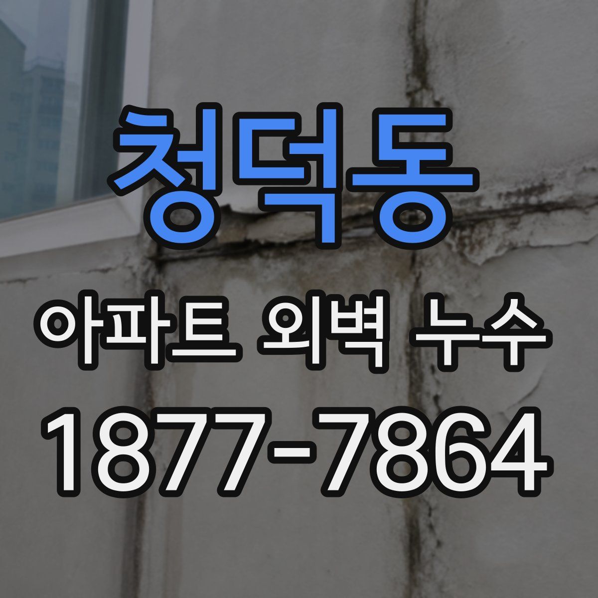 청덕동 아파트 외벽 누수