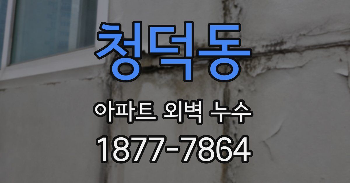 청덕동 아파트 외벽 누수