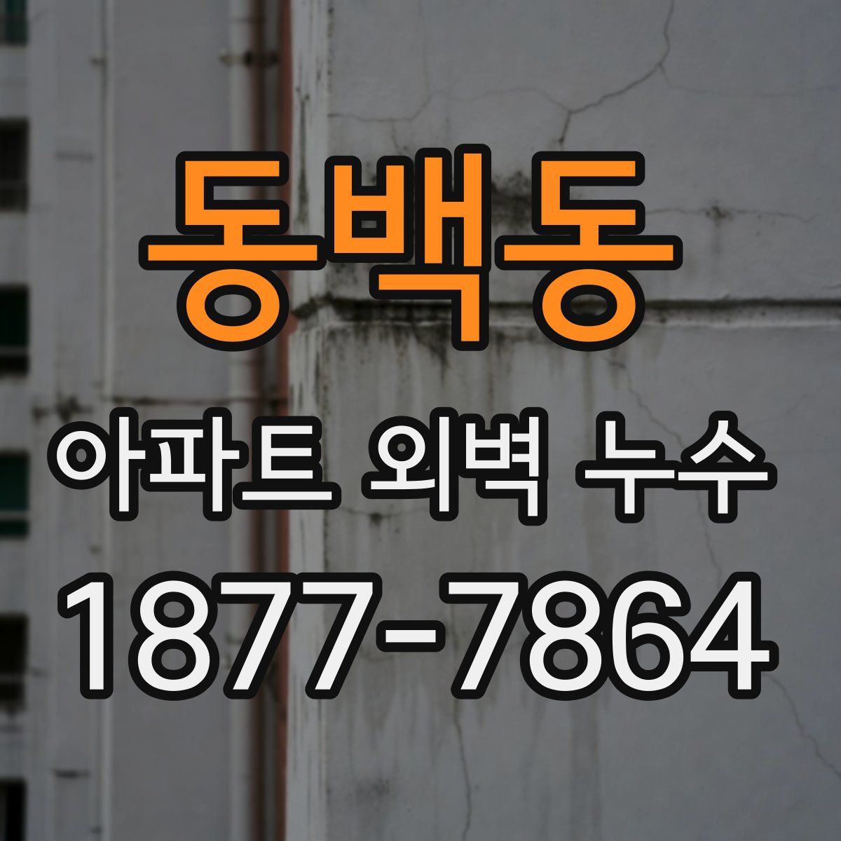 동백동 아파트 외벽 누수