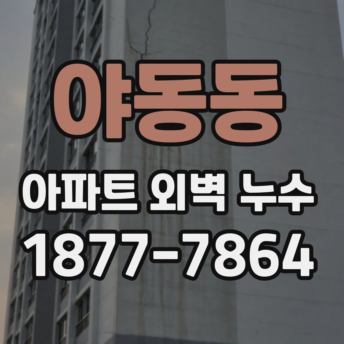 야동동 아파트 외벽 누수