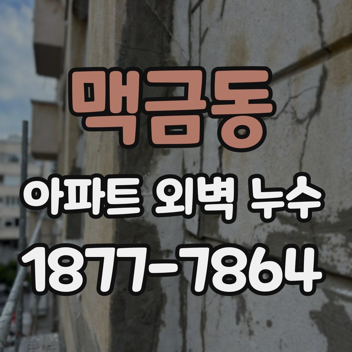 맥금동 아파트 외벽 누수