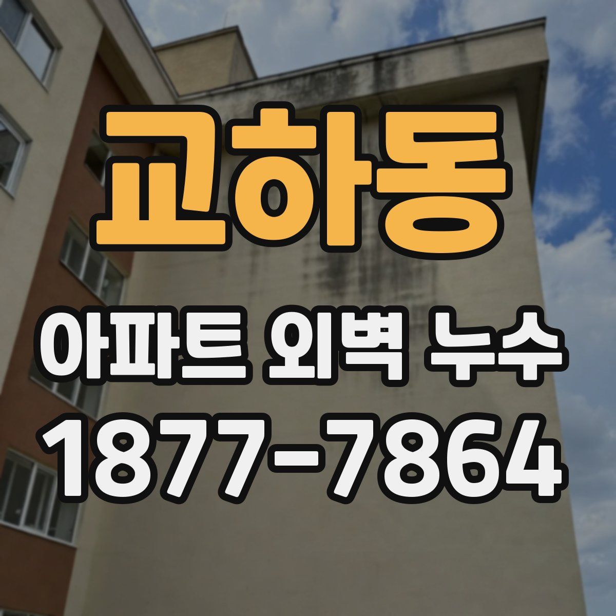 교하동 아파트 외벽 누수