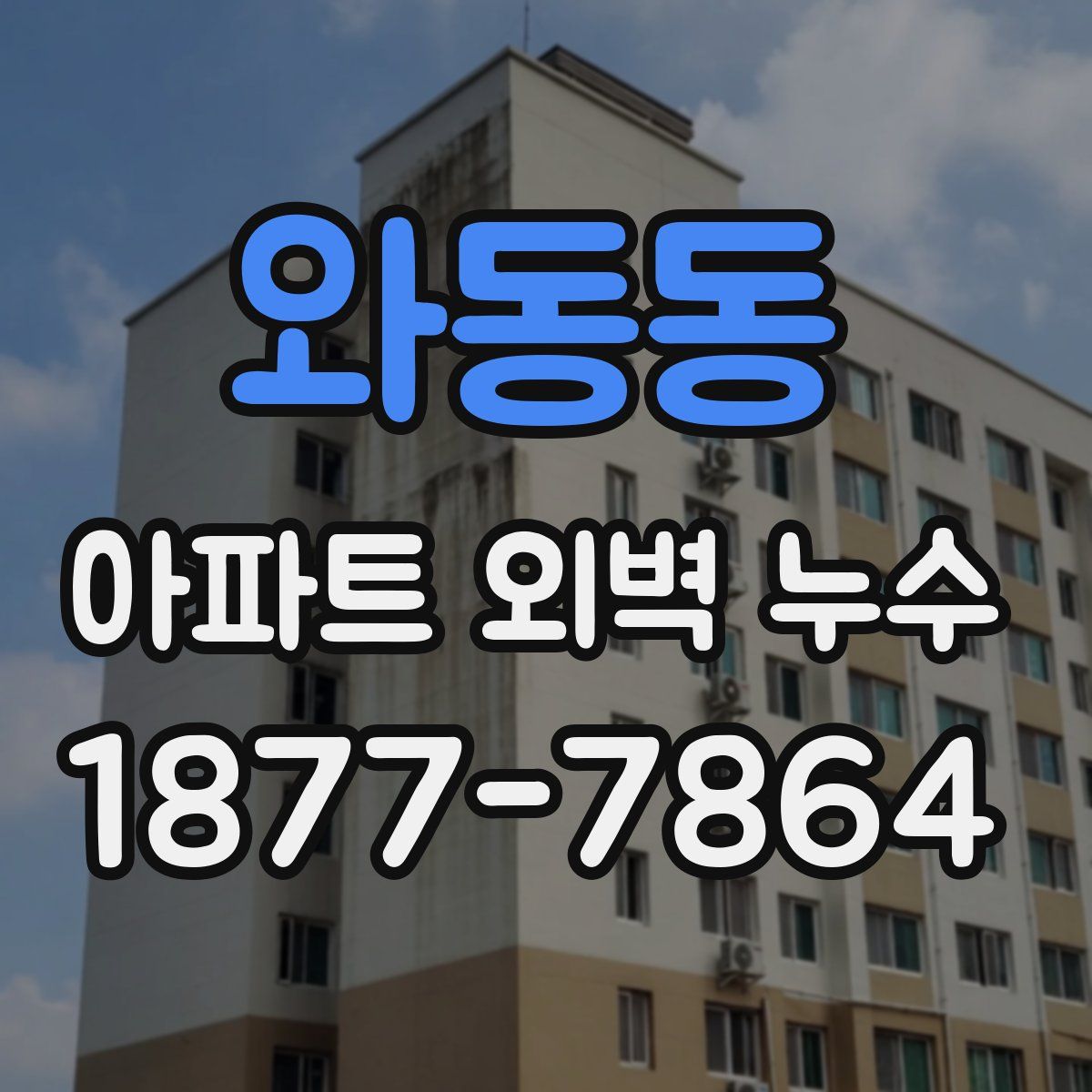와동동 아파트 외벽 누수