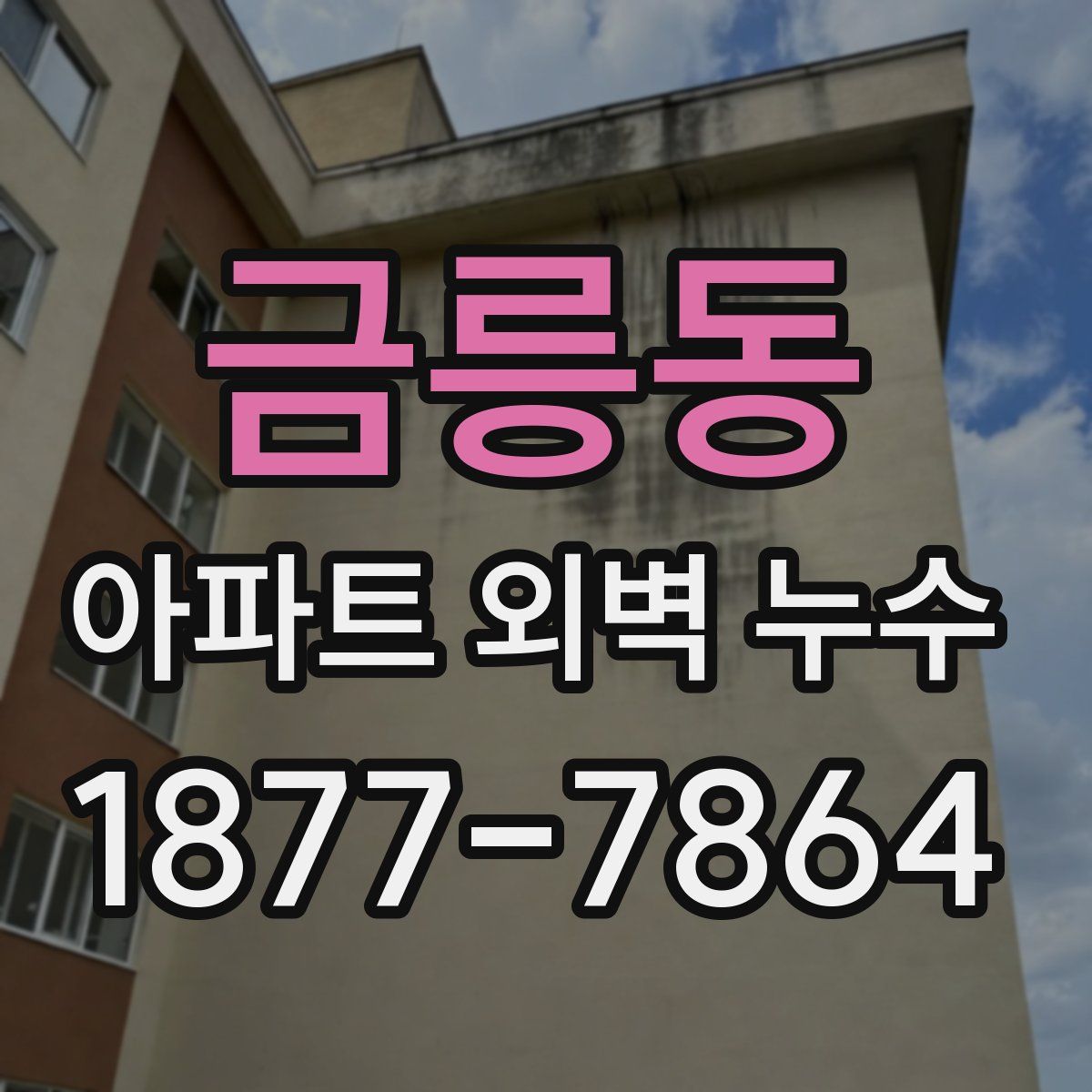 금릉동 아파트 외벽 누수
