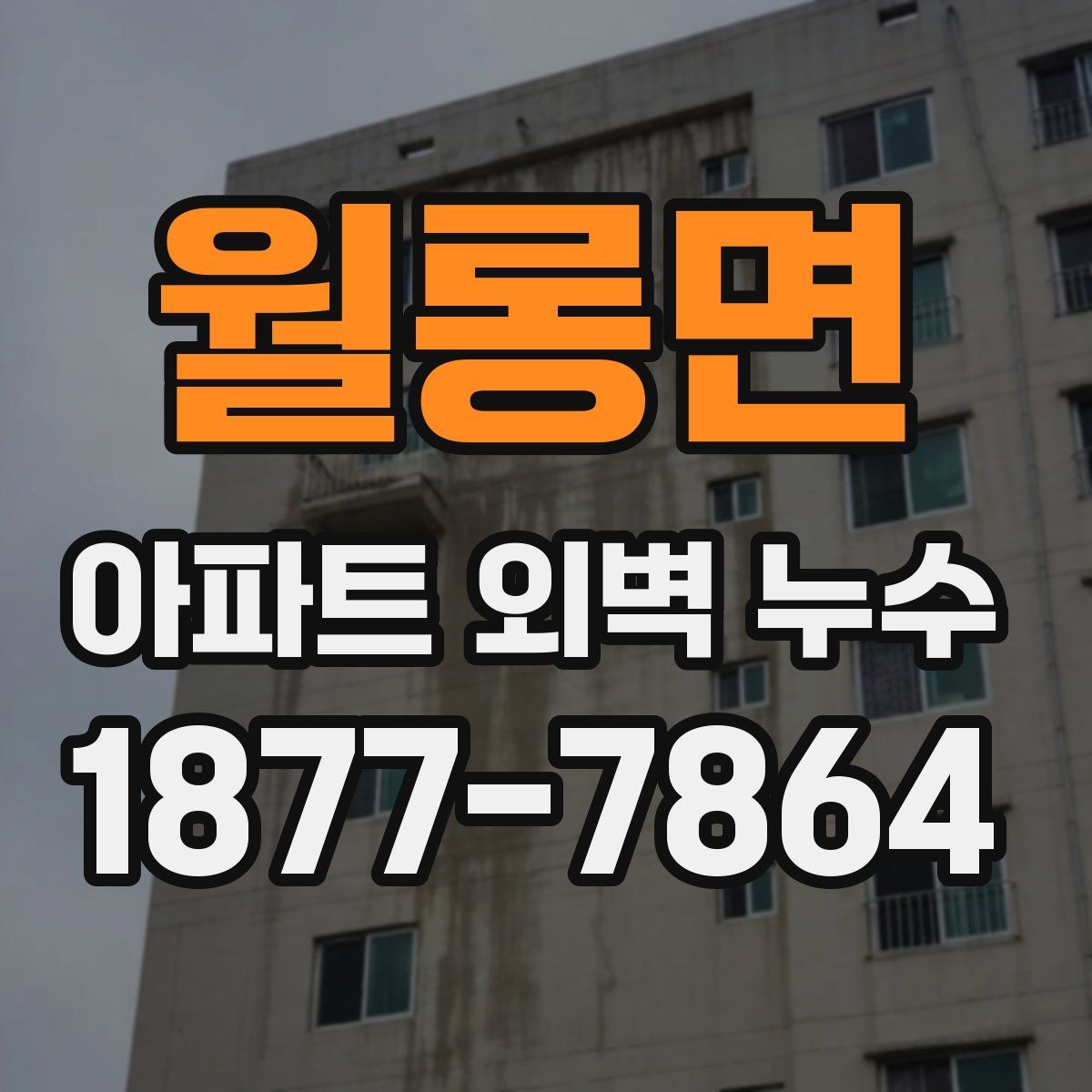 월롱면 아파트 외벽 누수