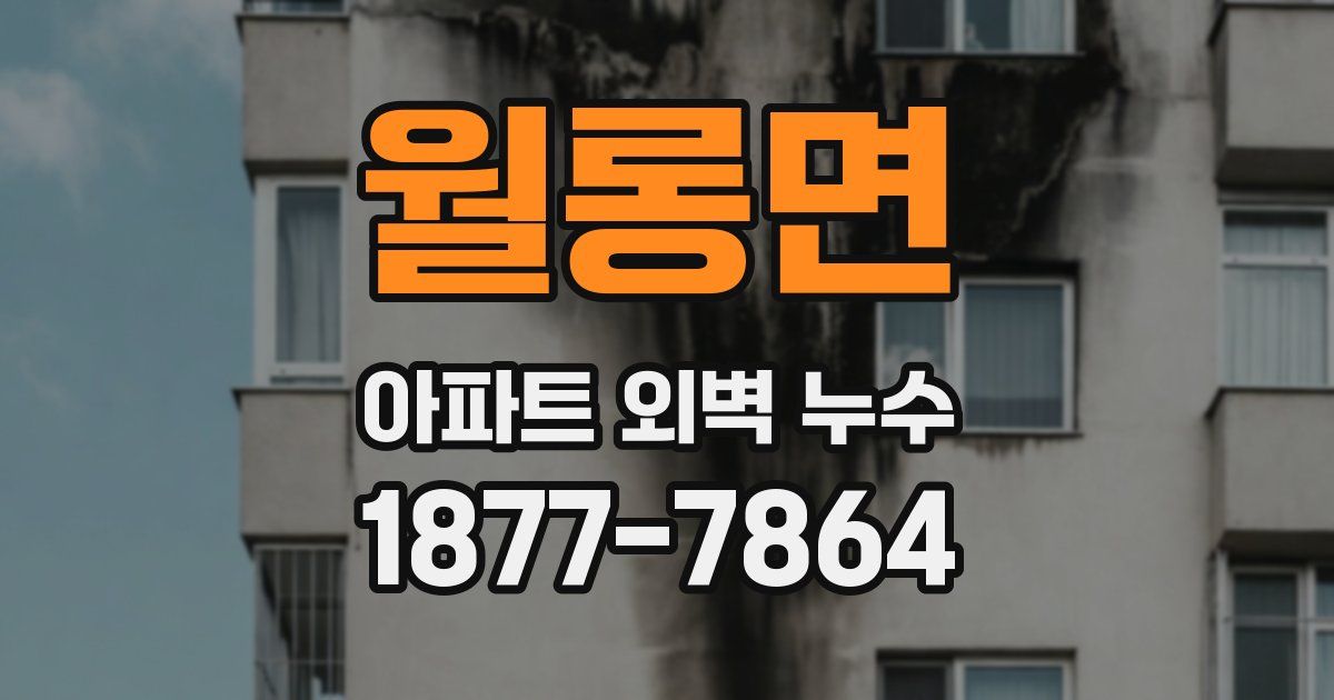 월롱면 아파트 외벽 누수