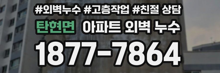탄현면 아파트 외벽 누수