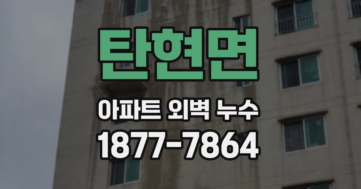 탄현면 아파트 외벽 누수