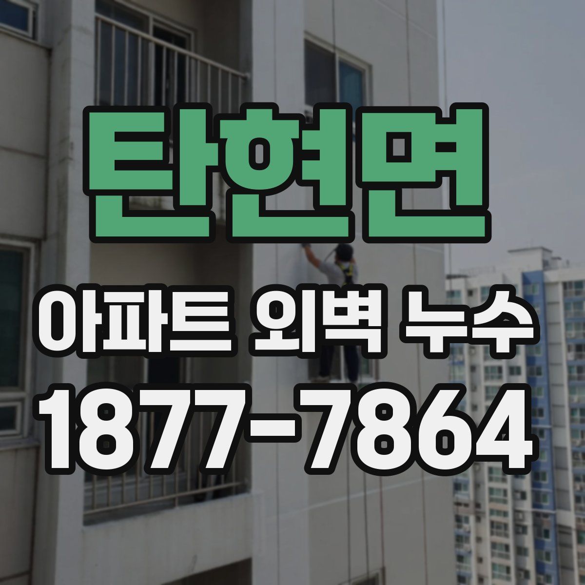 탄현면 아파트 외벽 누수