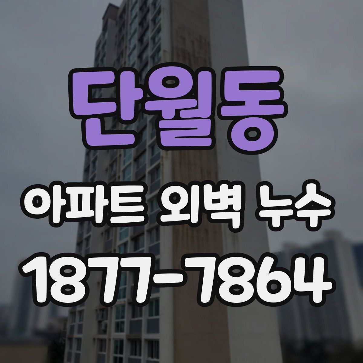 단월동 아파트 외벽 누수
