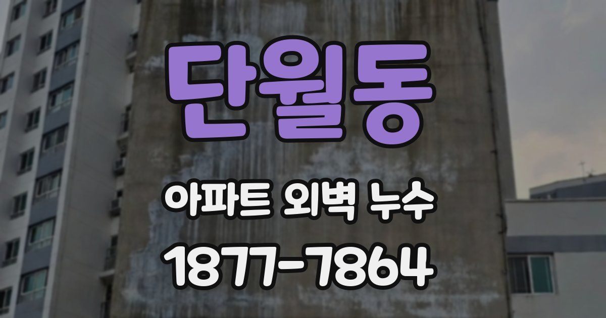 단월동 아파트 외벽 누수
