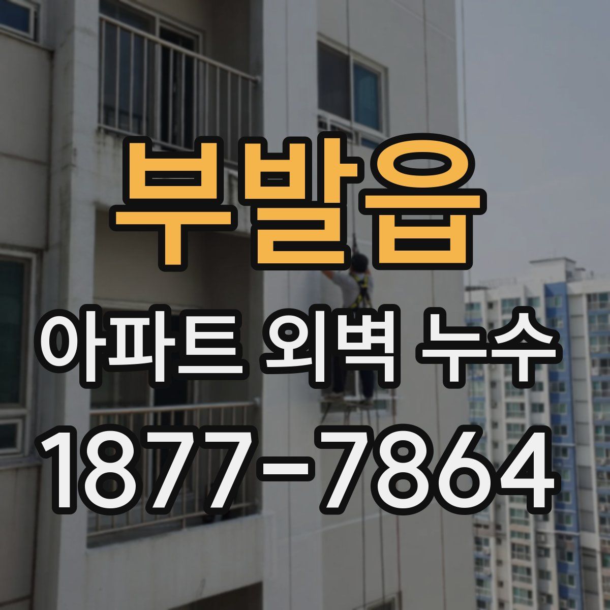 부발읍 아파트 외벽 누수