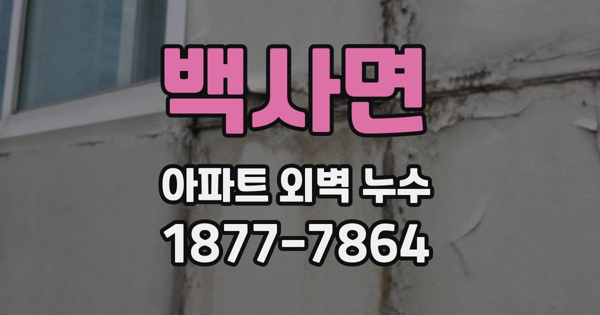 백사면 아파트 외벽 누수