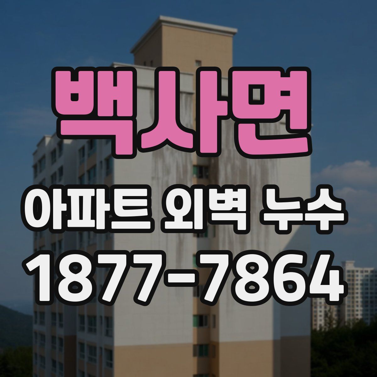 백사면 아파트 외벽 누수