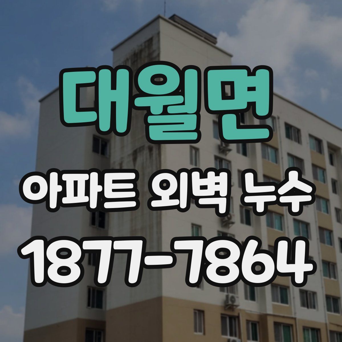 대월면 아파트 외벽 누수