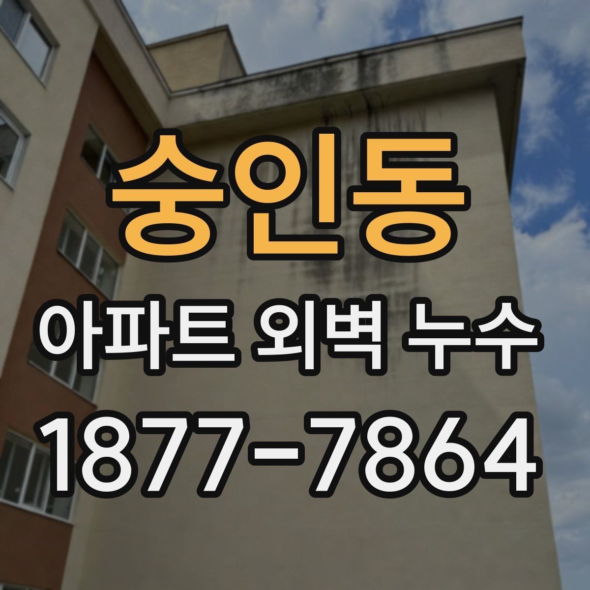 숭인동 아파트 외벽 누수 장기 누수로 번지기 전 대처