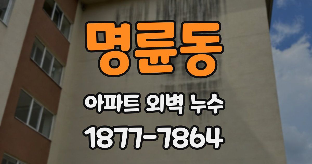 명륜동 아파트 외벽 누수