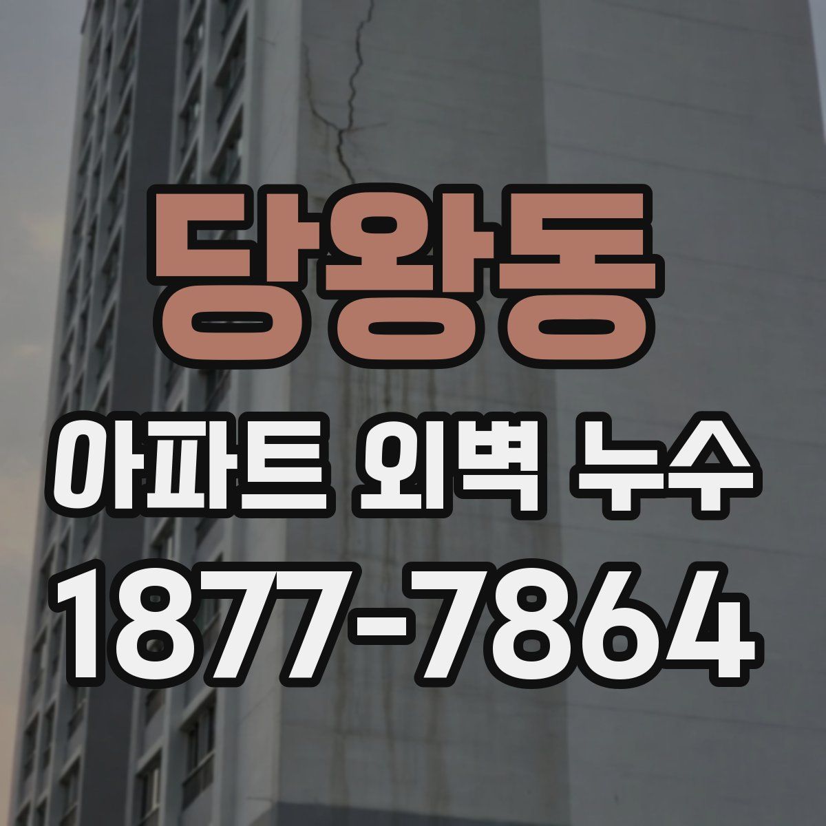 당왕동 아파트 외벽 누수