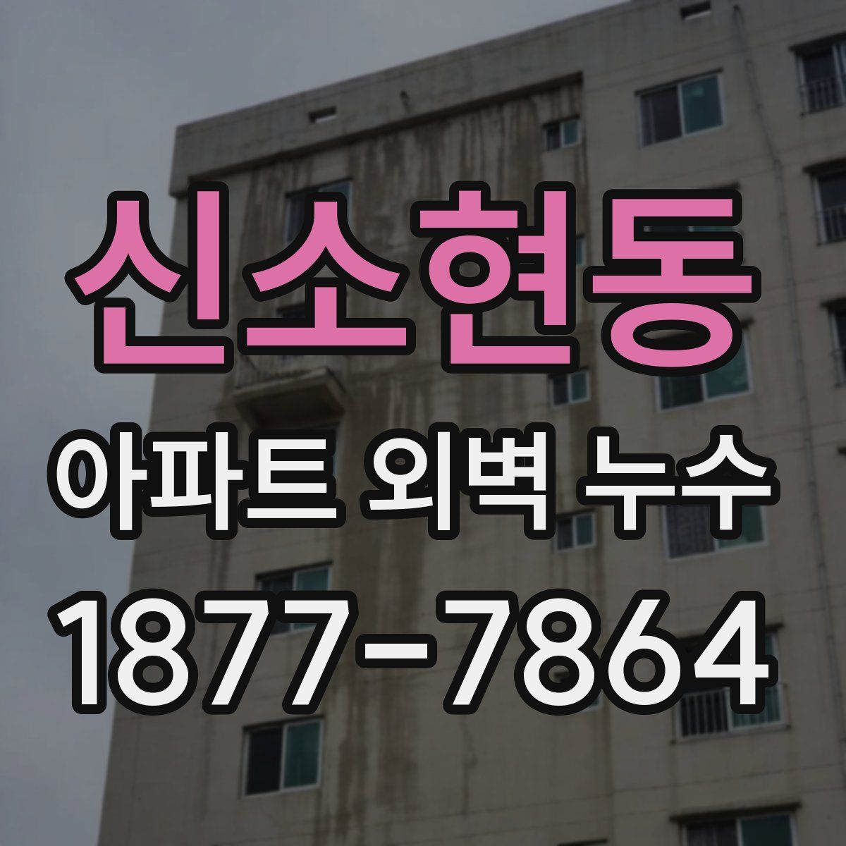 신소현동 아파트 외벽 누수
