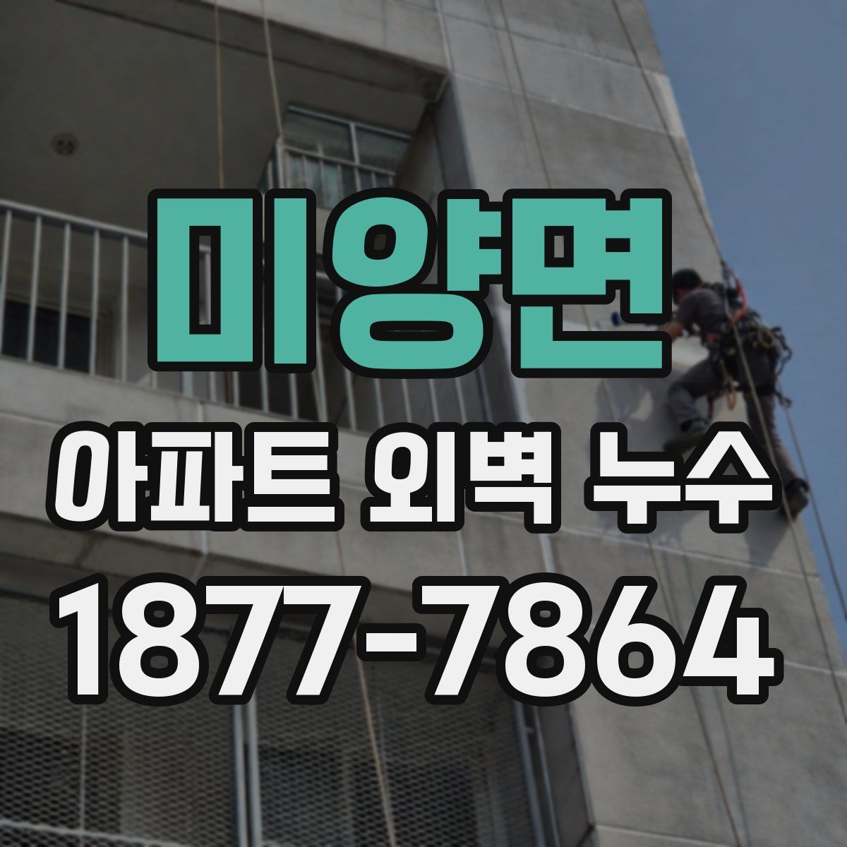 미양면 아파트 외벽 누수