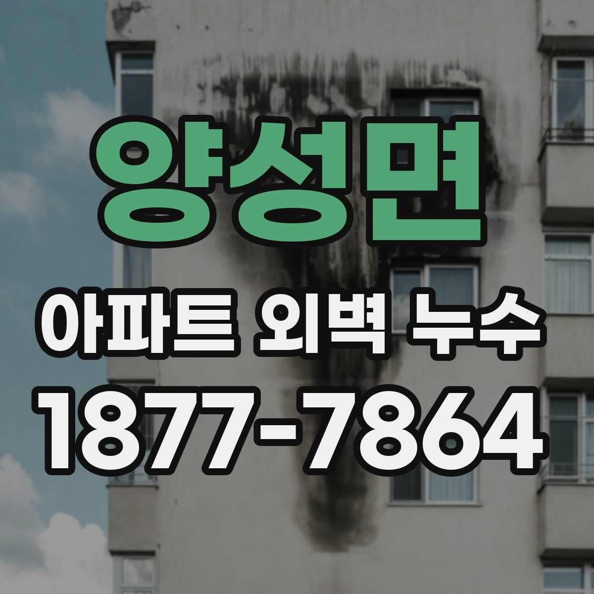 양성면 아파트 외벽 누수