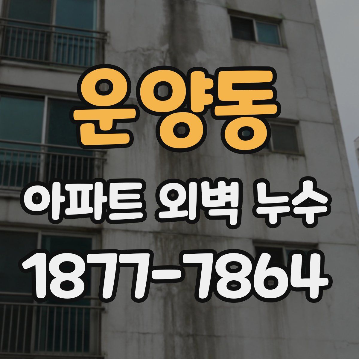 운양동 아파트 외벽 누수
