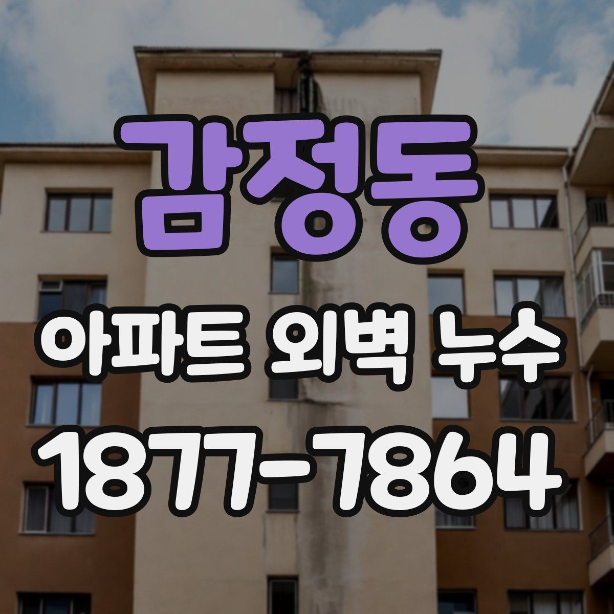 감정동 아파트 외벽 누수 보수 시공 전후 비교 포인트