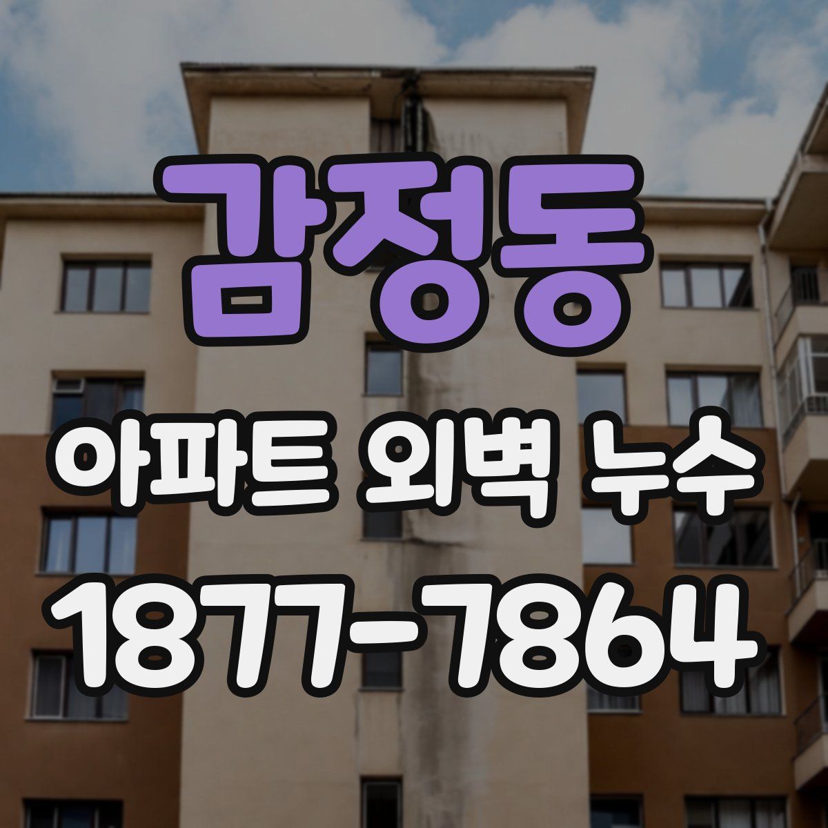 감정동 아파트 외벽 누수