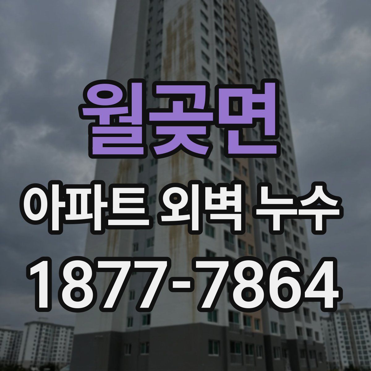 월곶면 아파트 외벽 누수
